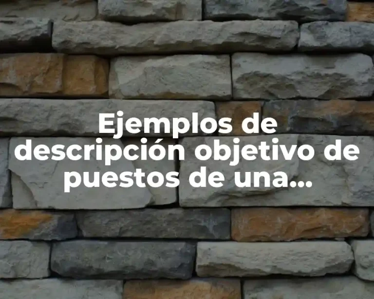 Ejemplos de descripción objetivo de puestos de una empresa