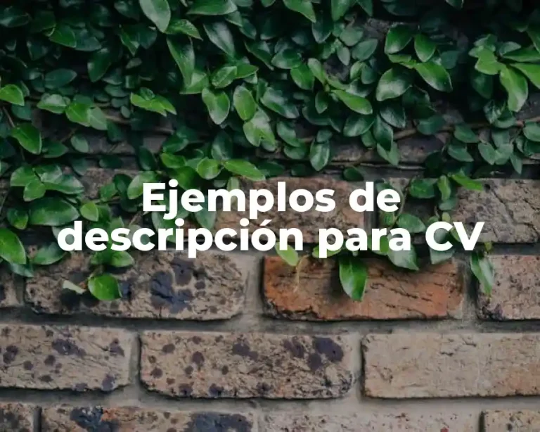 Ejemplos de descripción para CV