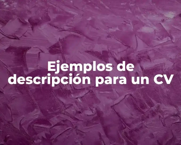 Ejemplos de descripción para un CV