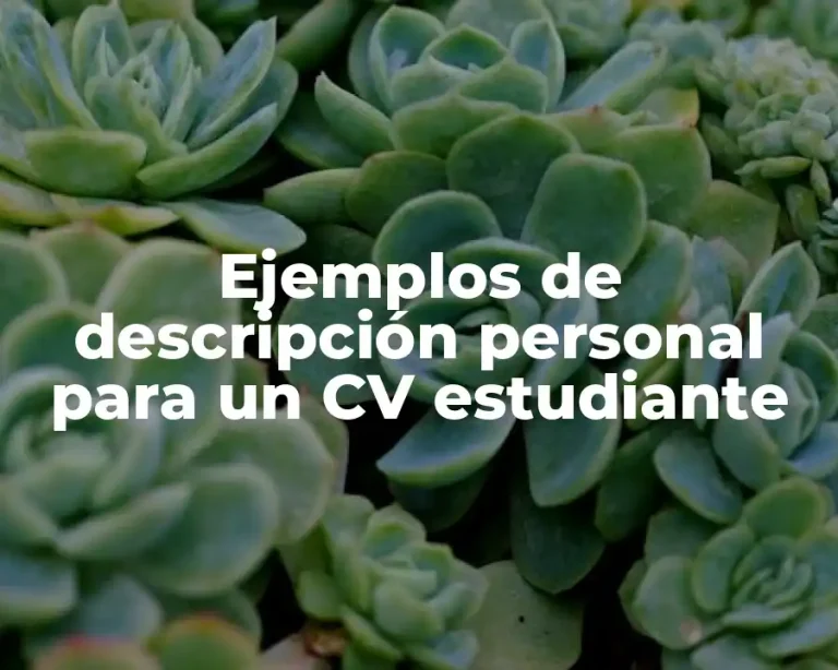 Ejemplos de descripción personal para un CV estudiante
