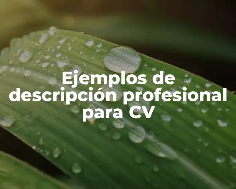 Ejemplos de descripción profesional para CV