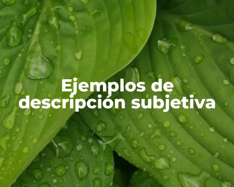 Ejemplos de descripción subjetiva