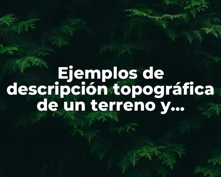 Ejemplos de descripción topográfica de un terreno y Significado