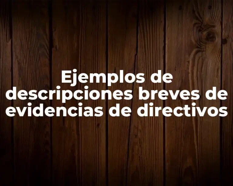 Ejemplos de descripciones breves de evidencias de directivos
