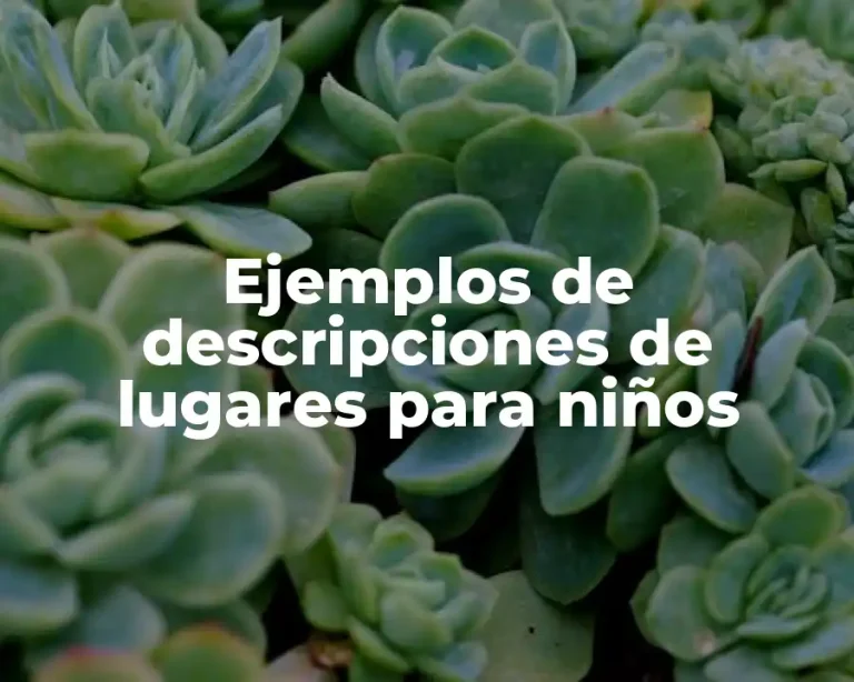 Ejemplos de descripciones de lugares para niños