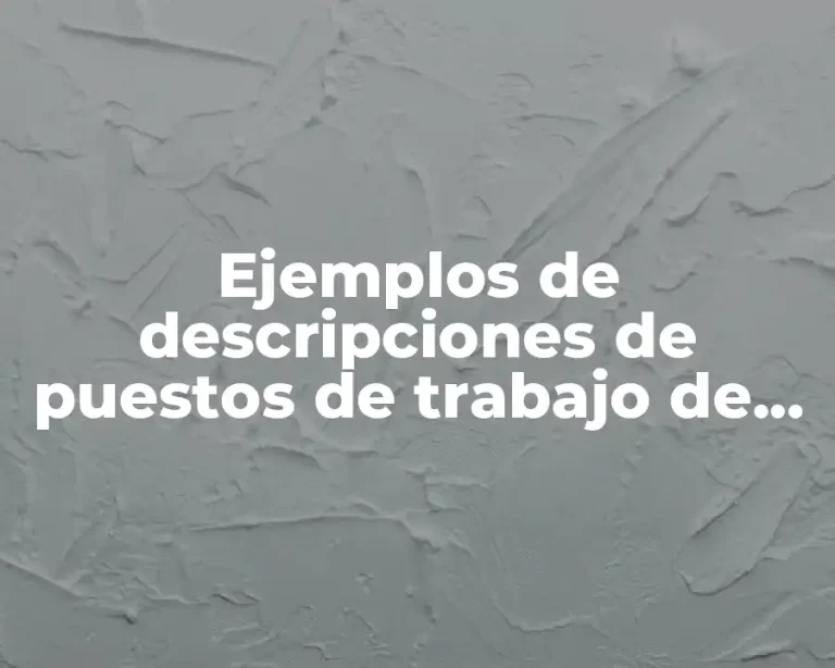 Ejemplos de descripciones de puestos de trabajo de programador