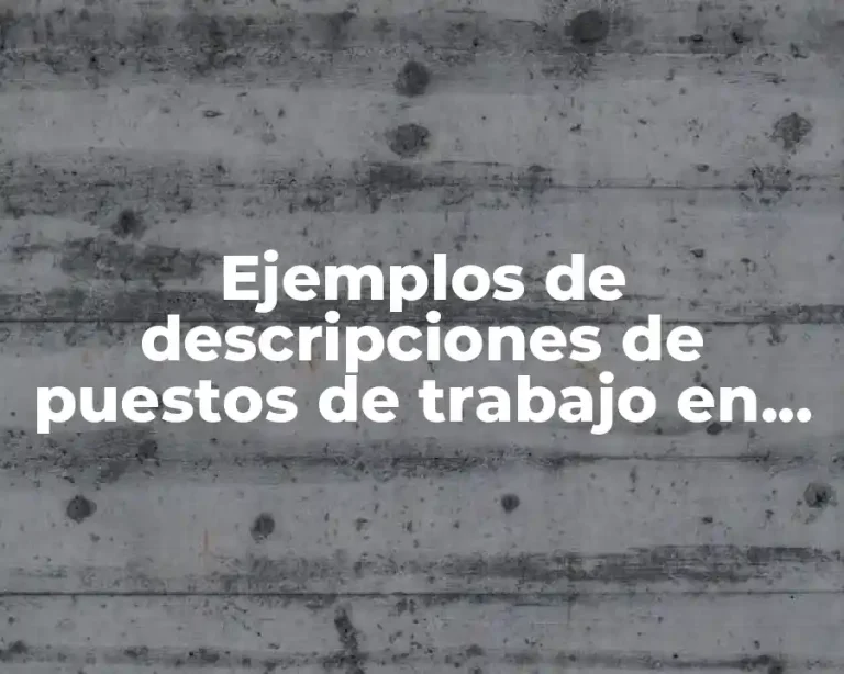 Ejemplos de descripciones de puestos de trabajo en área legal