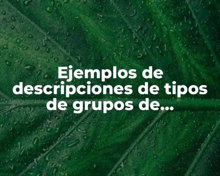 Ejemplos de descripciones de tipos de grupos de intervención