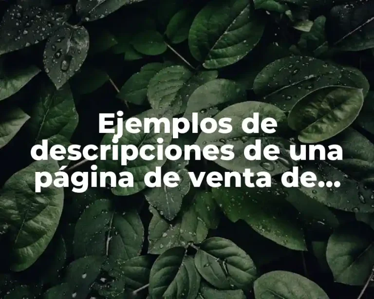 Ejemplos de descripciones de una página de venta de pinturas y Significado