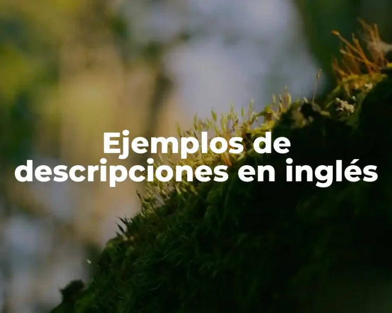 Ejemplos de descripciones en inglés
