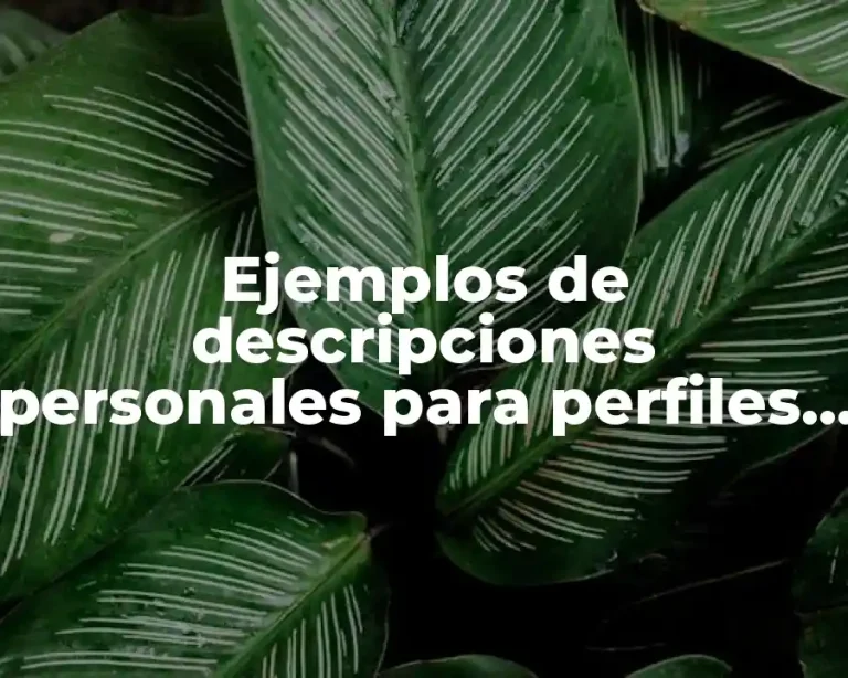 Ejemplos de descripciones personales para perfiles de residencias