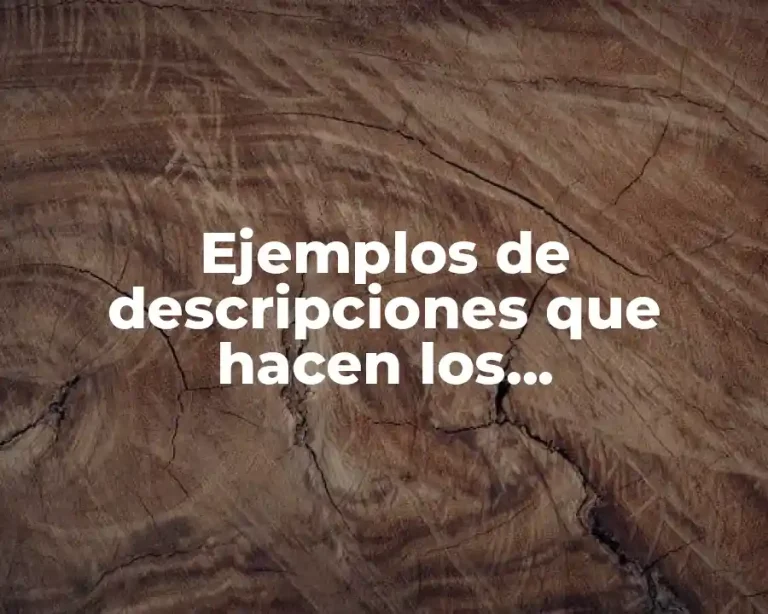 Ejemplos de descripciones que hacen los comentaristas de televisión y Significado