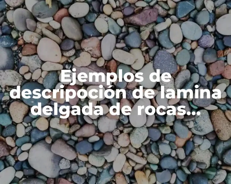 Ejemplos de descripoción de lamina delgada de rocas metamórficas