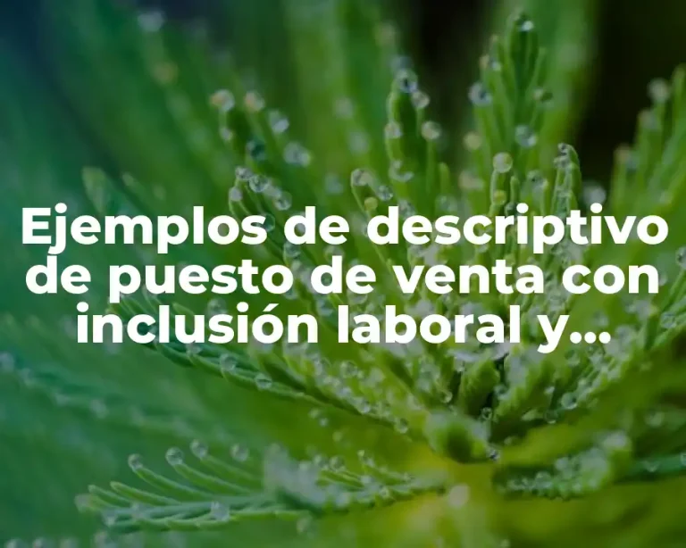 Ejemplos de descriptivo de puesto de venta con inclusión laboral y Significado