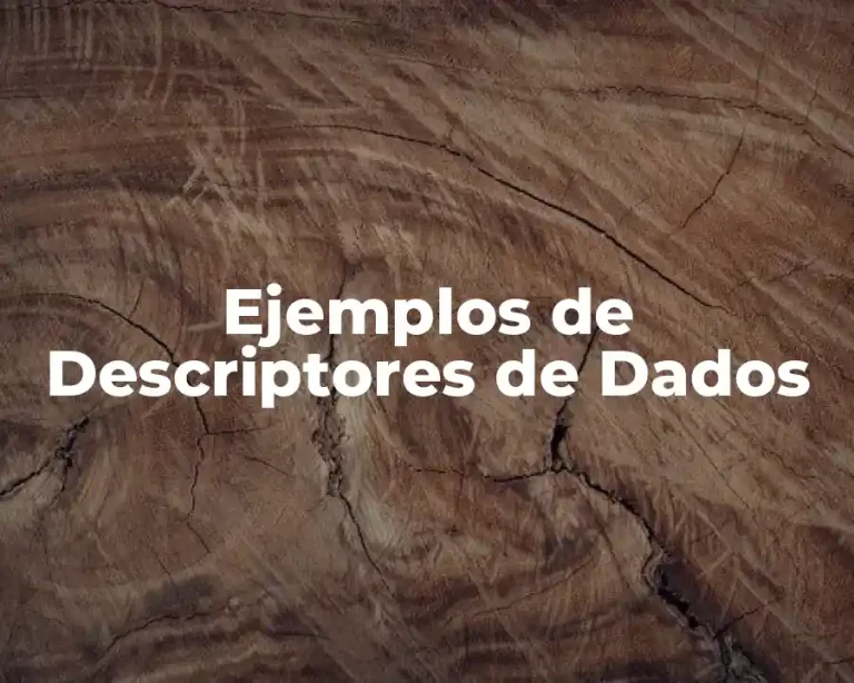 Ejemplos de Descriptores de Dados