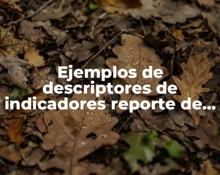 Ejemplos de descriptores de indicadores reporte de mejoras