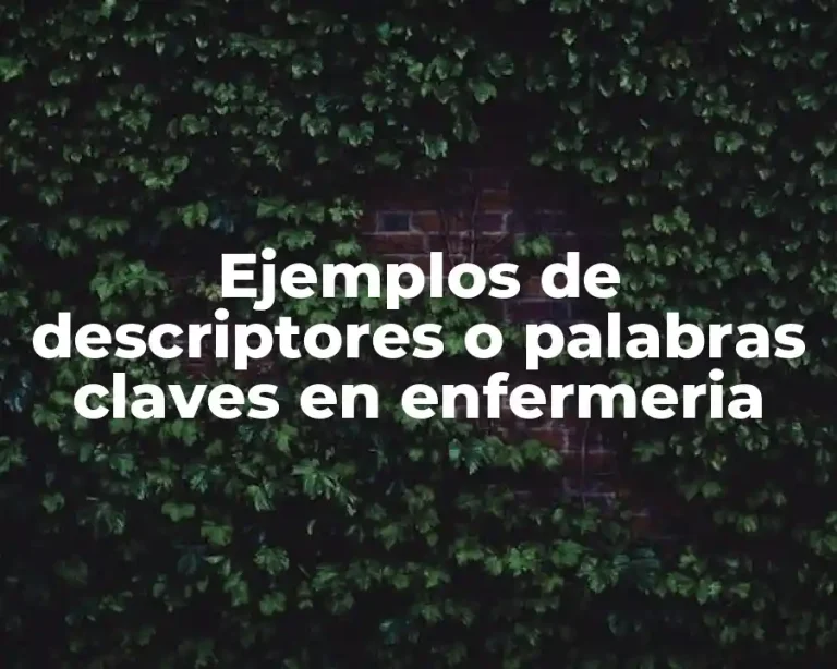 Ejemplos de descriptores o palabras claves en enfermeria