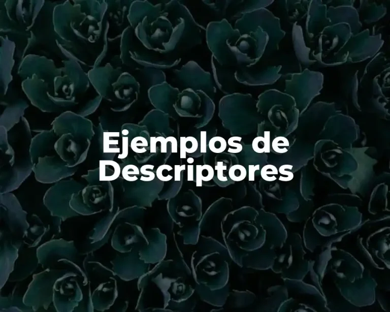 Ejemplos de Descriptores