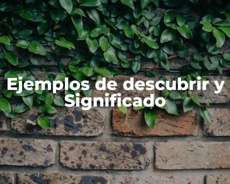 Ejemplos de descubrir y Significado