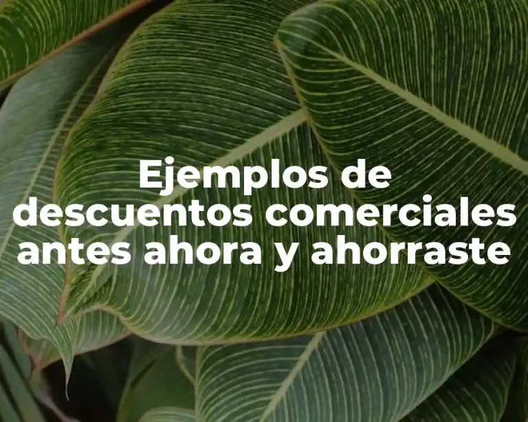 Ejemplos de descuentos comerciales antes ahora y ahorraste