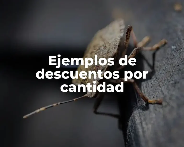 Ejemplos de descuentos por cantidad