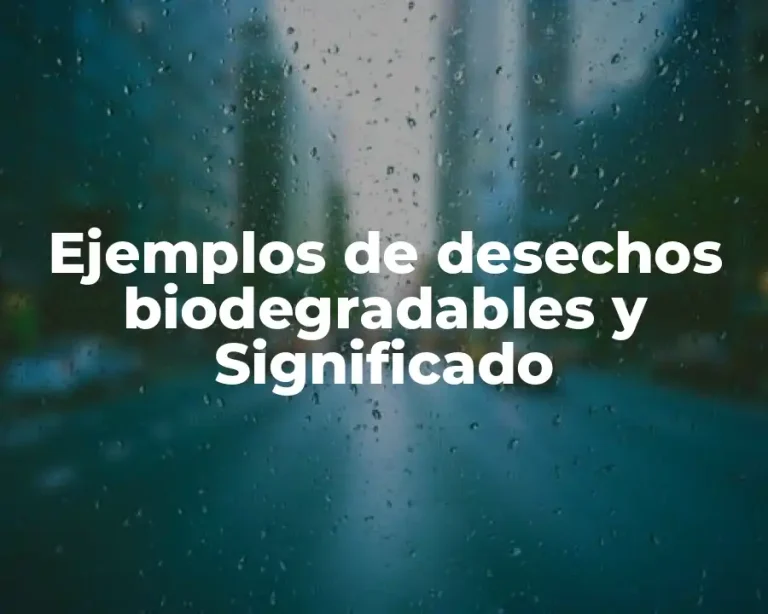 Ejemplos de desechos biodegradables y Significado