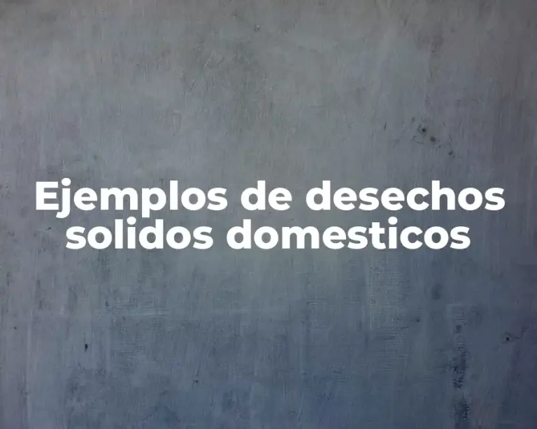 Ejemplos de desechos solidos domesticos