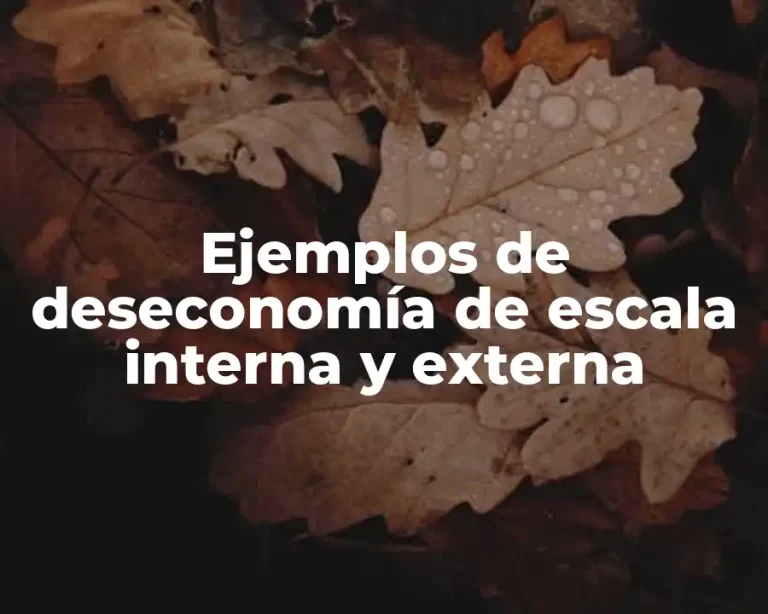 Ejemplos de deseconomía de escala interna y externa