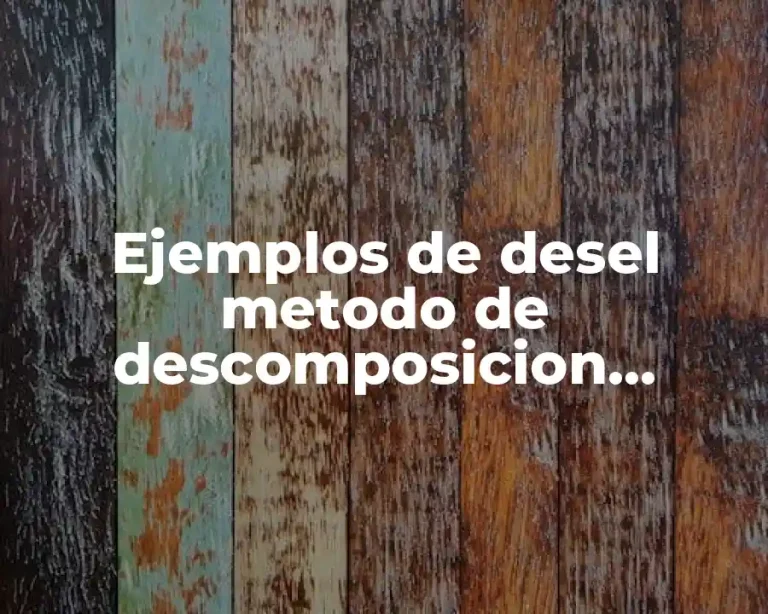 Ejemplos de desel metodo de descomposicion rectangular de vectores