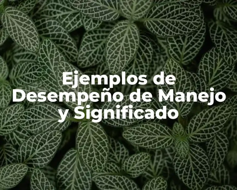 Ejemplos de Desempeño de Manejo y Significado