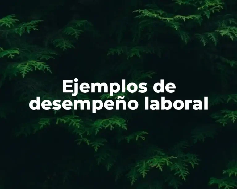 Ejemplos de desempeño laboral