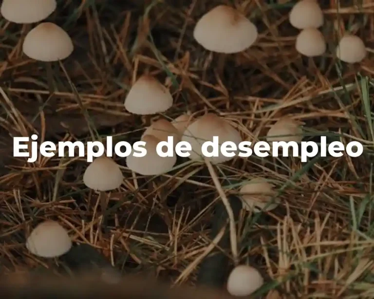 Ejemplos de desempleo