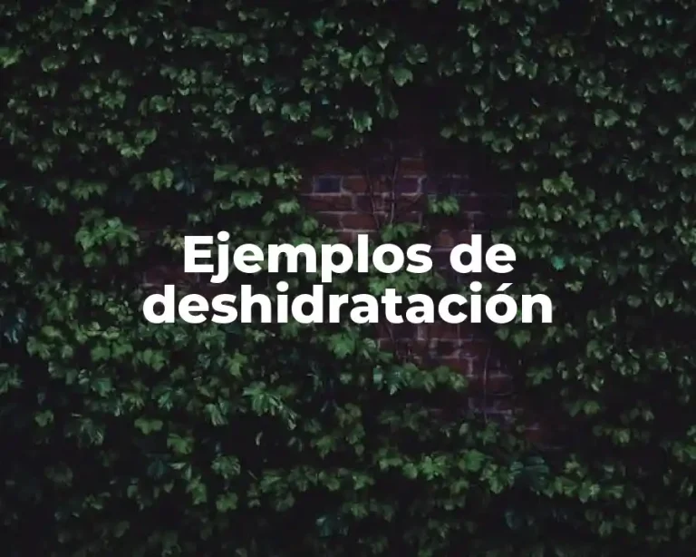 Ejemplos de deshidratación