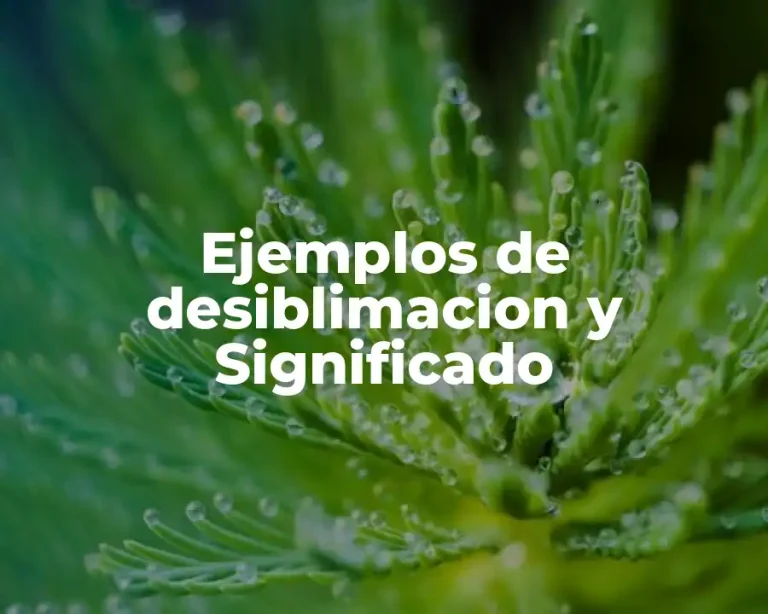 Ejemplos de desiblimacion y Significado