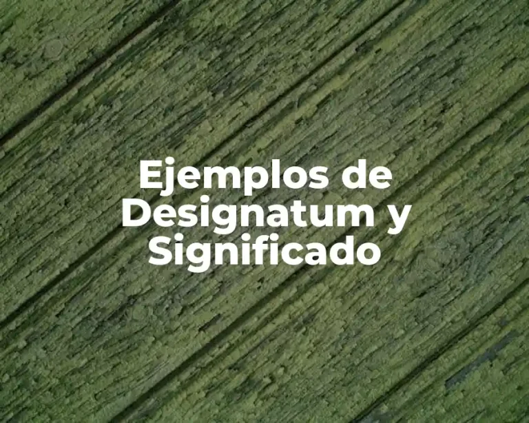 Ejemplos de Designatum y Significado