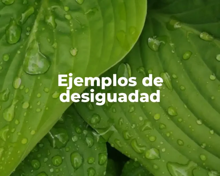 Ejemplos de desiguadad