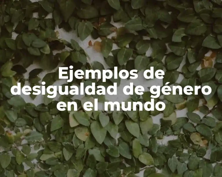 Ejemplos de desigualdad de género en el mundo