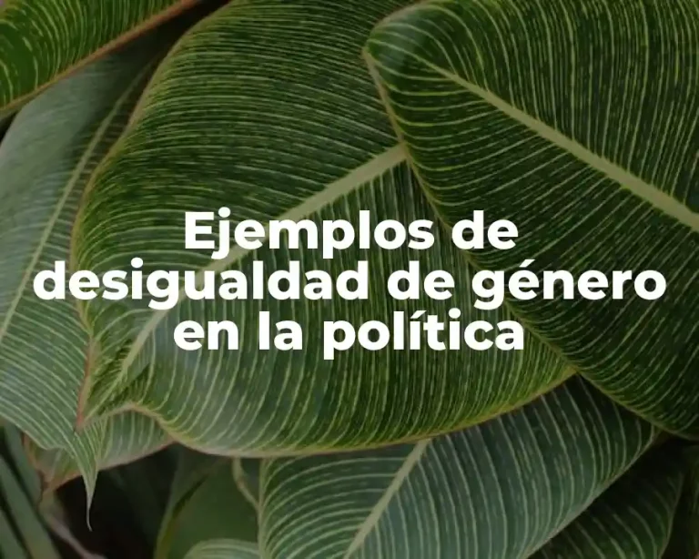 Ejemplos de desigualdad de género en la política