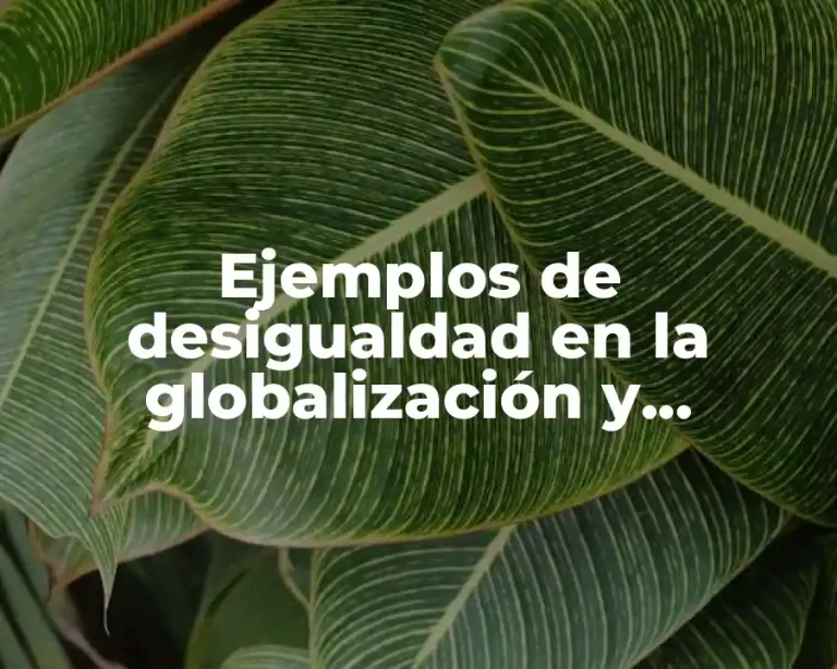 Ejemplos de desigualdad en la globalización y Significado