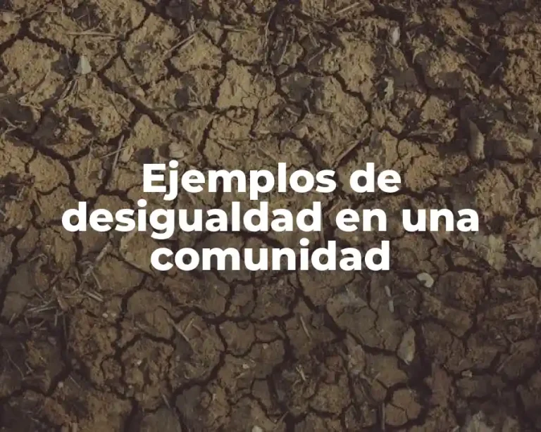 Ejemplos de desigualdad en una comunidad
