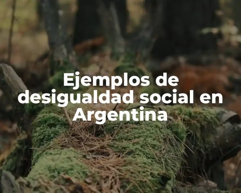 Ejemplos de desigualdad social en Argentina