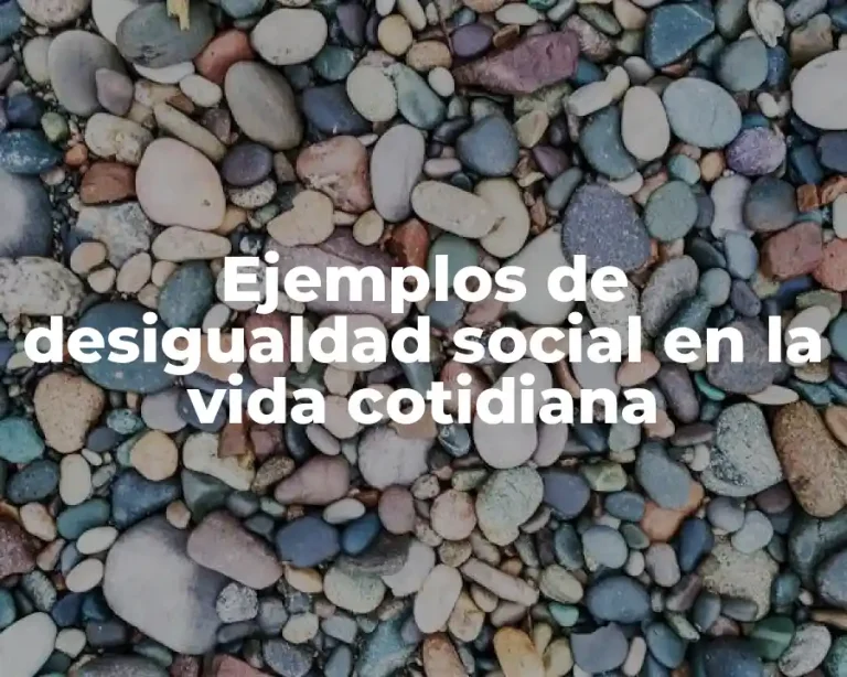 Ejemplos de desigualdad social en la vida cotidiana