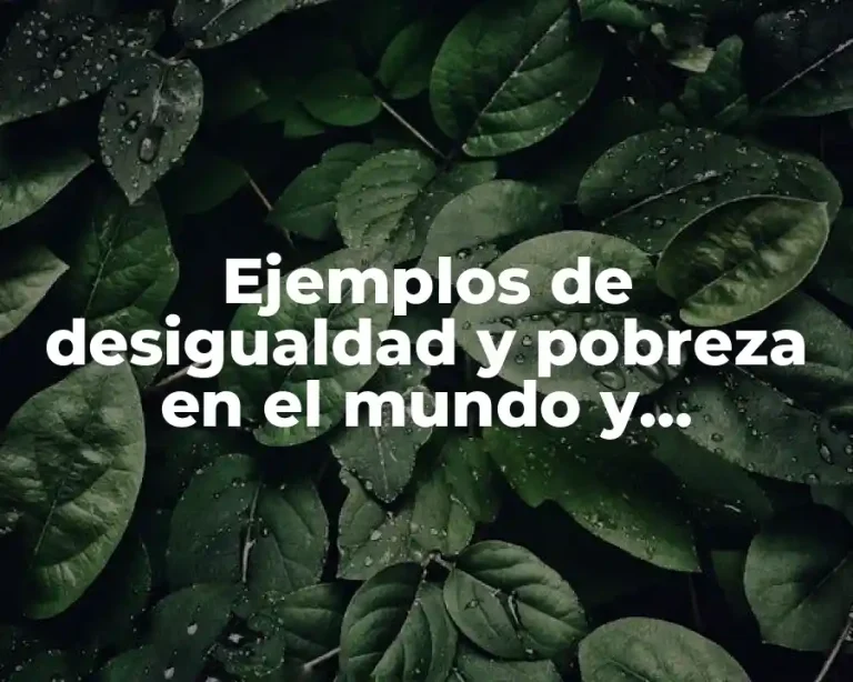 Ejemplos de desigualdad y pobreza en el mundo y Significado