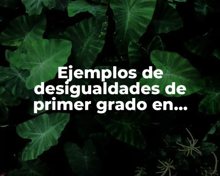 Ejemplos de desigualdades de primer grado en problemas reales