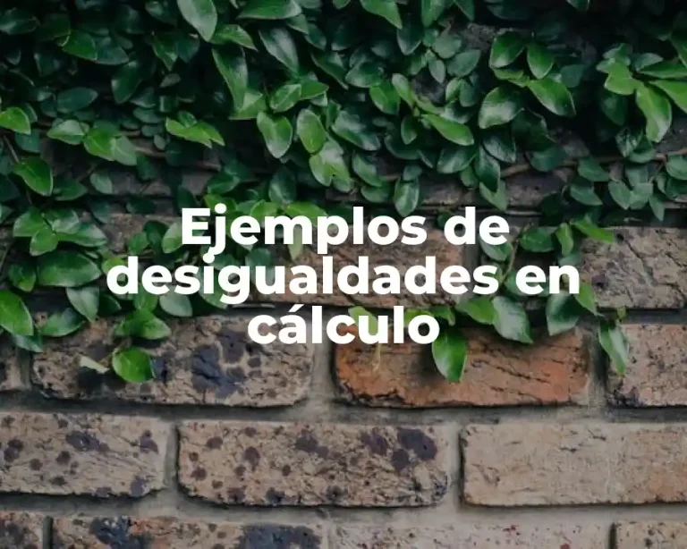 Ejemplos de desigualdades en cálculo