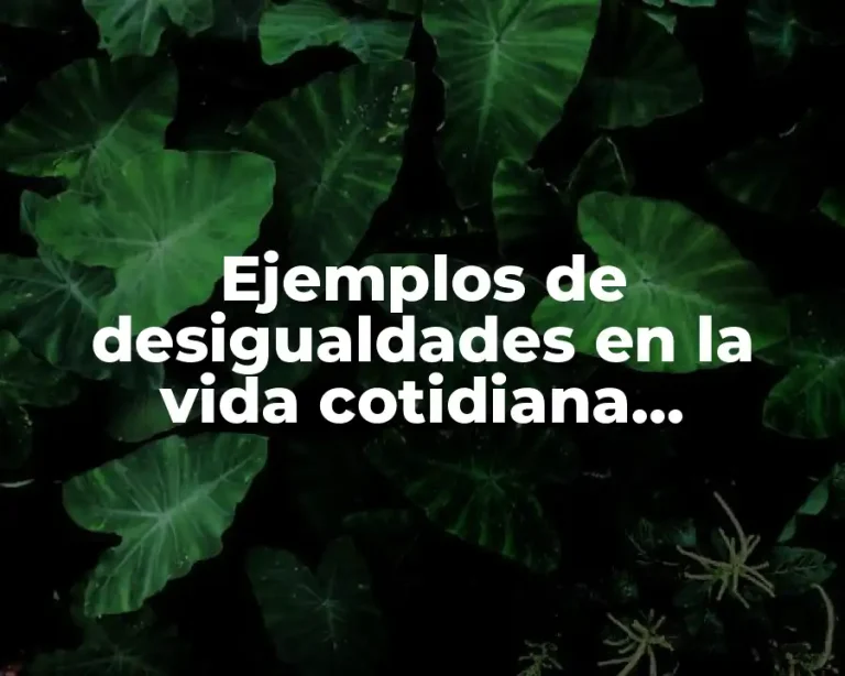 Ejemplos de desigualdades en la vida cotidiana investigacion de