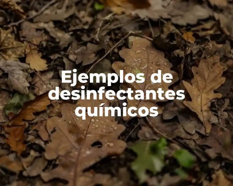 Ejemplos de desinfectantes químicos