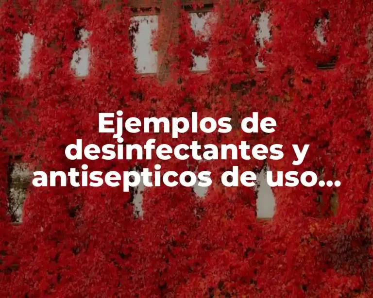 Ejemplos de desinfectantes y antisepticos de uso hospitalario