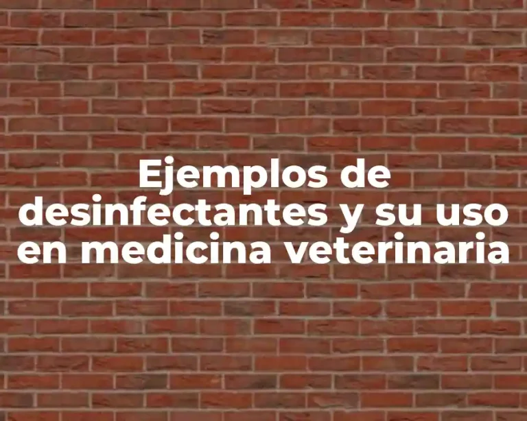 Ejemplos de desinfectantes y su uso en medicina veterinaria