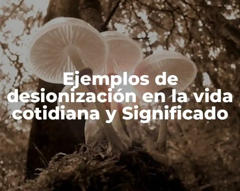 Ejemplos de desionización en la vida cotidiana y Significado